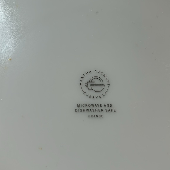 Martha Stewart Everyday 10.5” Vitrelle Floral Set of 2 Plates - Picture 4 of 5